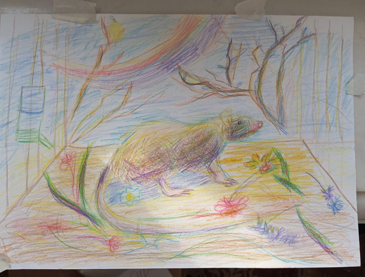 Ученик 6 лет