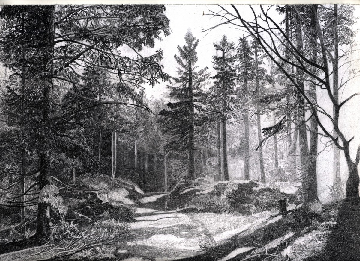 бумага, карандаш